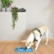 Duo de gamelles pliables de voyage en silicone