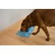 Duo de gamelles pliables de voyage en silicone