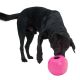 Jouet pour chien Buster Food Cube rose