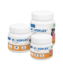 Movoflex Chien - Complément alimentaire pour les articulations