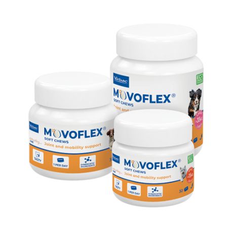 Movoflex Chien - Complément alimentaire pour les articulations