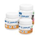 Movoflex Chien - Complément alimentaire pour les articulations