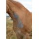 Spray Aluminium pour animaux - Protection de la peau