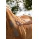 Spray Aluminium pour animaux - Protection de la peau