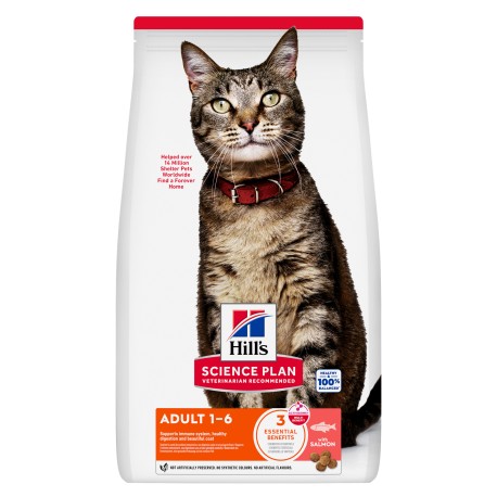 Hill's Science Plan Chat Adulte au Saumon - Croquettes