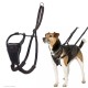 Harnais anti-traction Halti pour chien