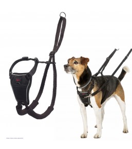Harnais anti-traction Halti pour chien