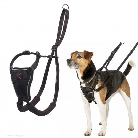 Harnais anti-traction Halti pour chien