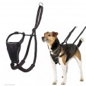 Harnais anti-traction Halti double contrôle pour chien