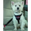 Clix Car Safe - Ceinture de sécurité pour chien