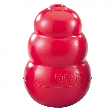 kong pour chien