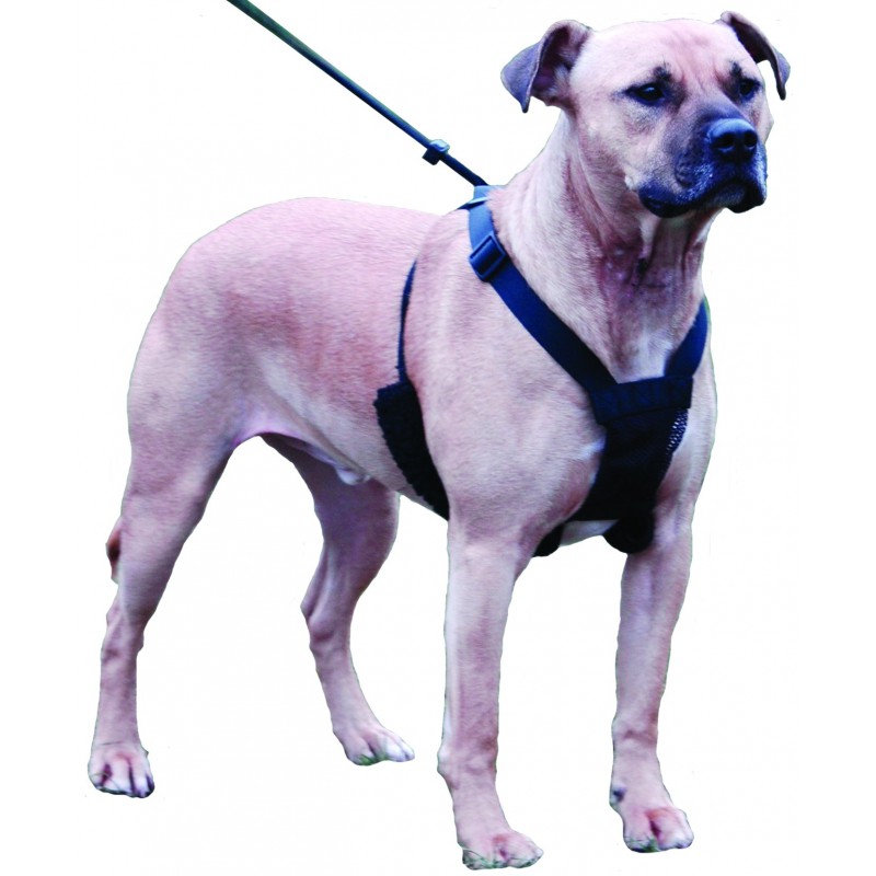 Sporn - Harnais anti traction pour chien