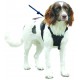 Sporn - Harnais anti traction pour chiens MEDIUM