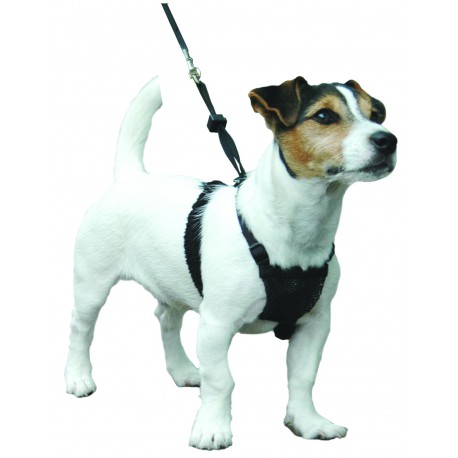 Harnais anti traction chien