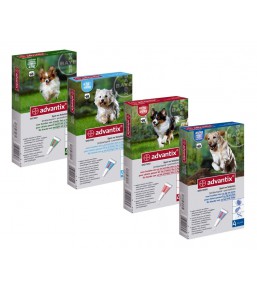 GELMINTHE 10 ml Vermifuges chien chat 20 kg