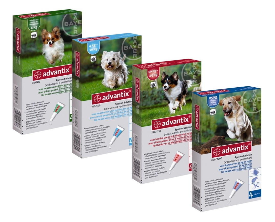 Advantix™ Pipettes antitiques et puces pour chiens Bayer / DirectVet
