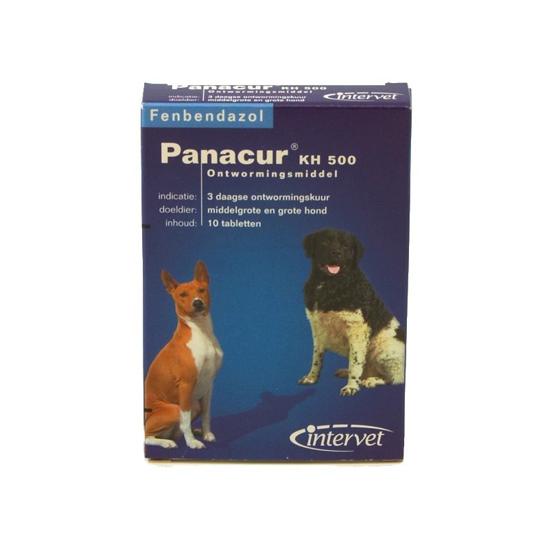 Panacur Vermifuge Pour Chiens Msd Direct Vet