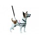 Halti - Harnais anti-traction pour chiens