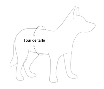 Mesure Taille Harnais Chest Plate EzyDog