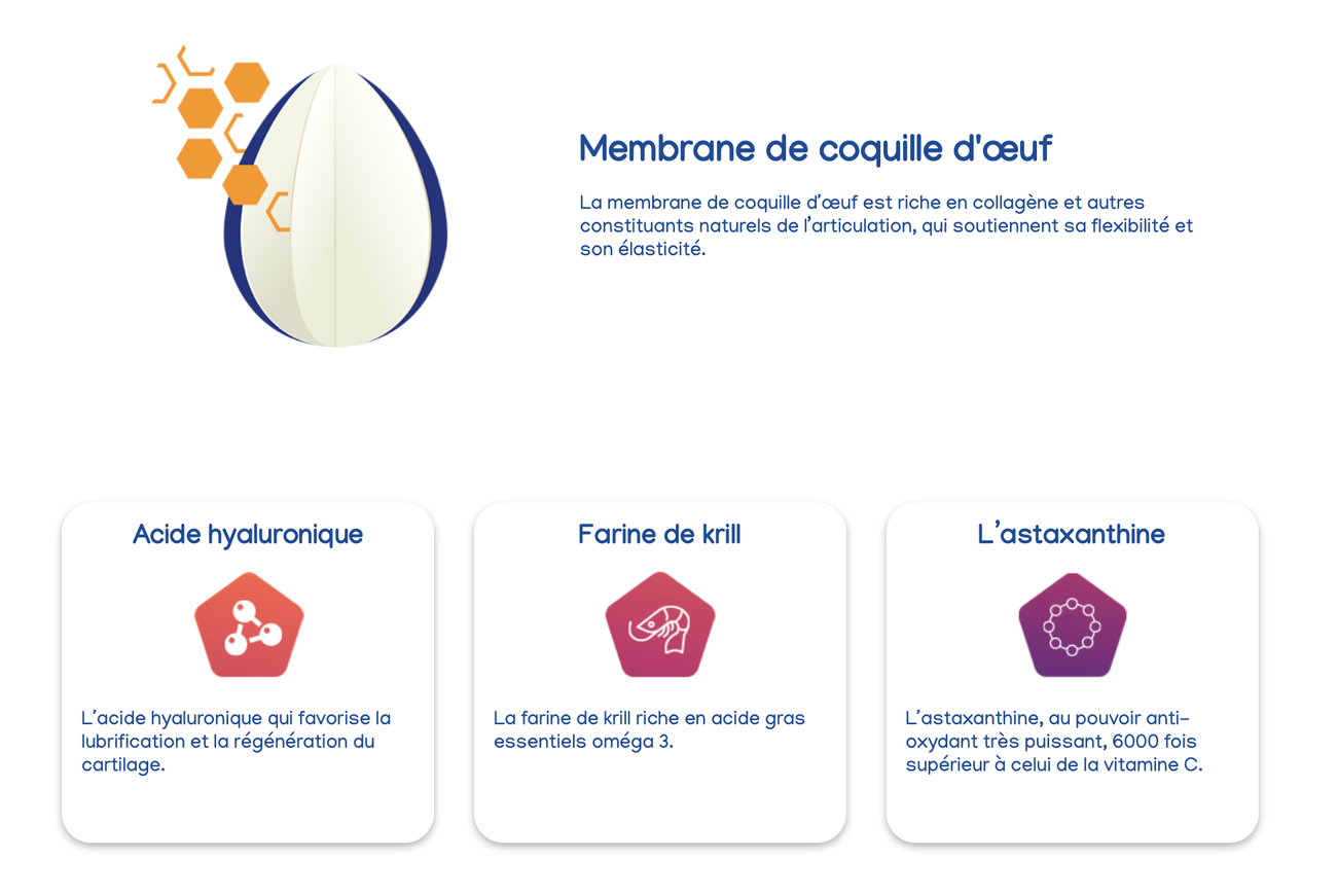 Movoflex Chat, complément pour les articulations