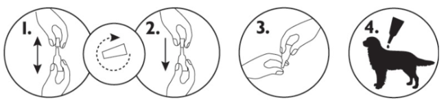 adminstration pipette antipuce amflee fipronil