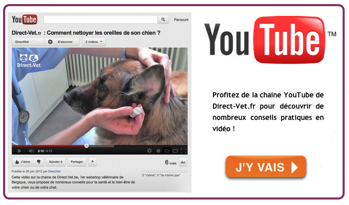 Chaine Youtube Direct-Vet.fr