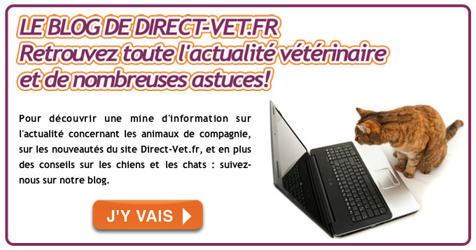 Blog de Direct-Vet.be