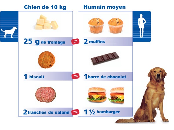 Milbemaxtab vermifuge chiens dès 5 kg - 2 comprimés - PurePara